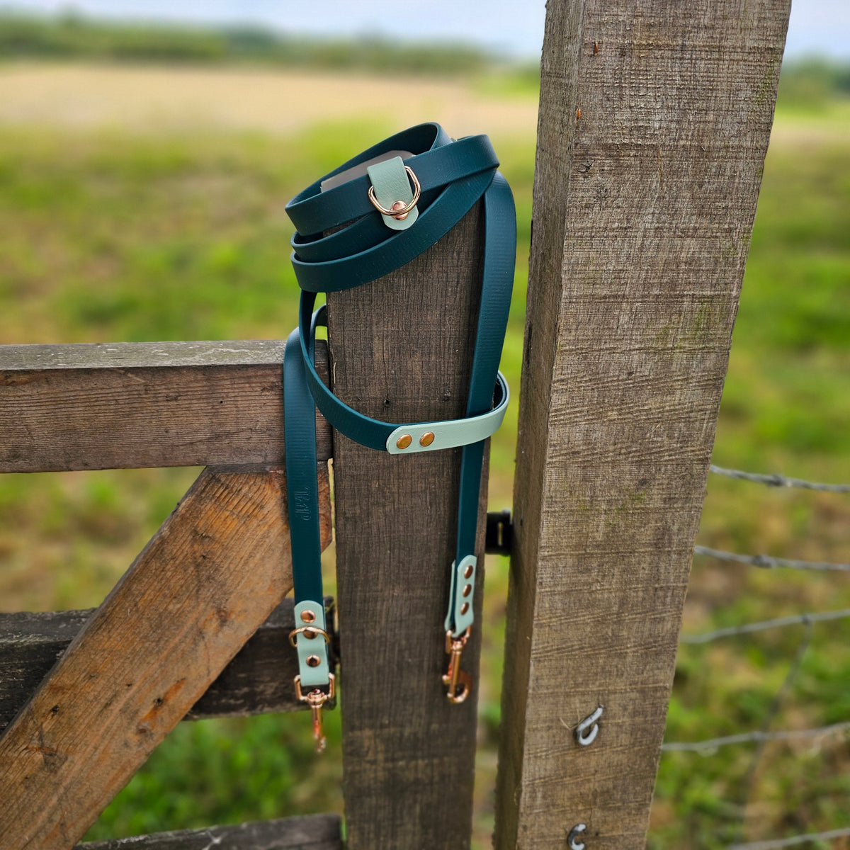 Hands-Free Training Lead – Dark Green & Sage