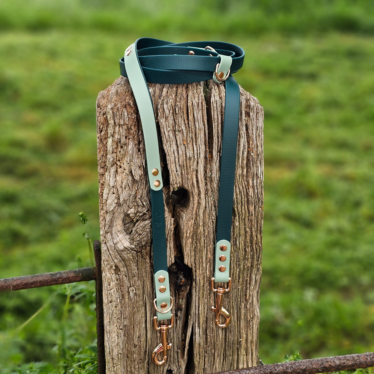 Hands-Free Training Lead – Dark Green & Sage