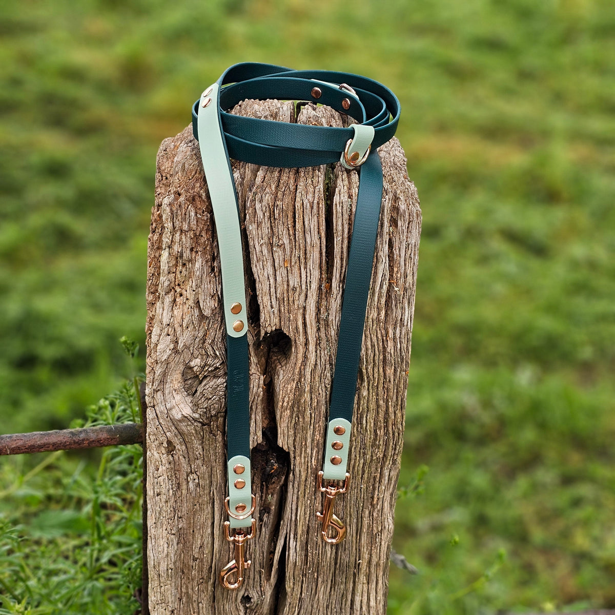 Hands-Free Training Lead – Dark Green & Sage