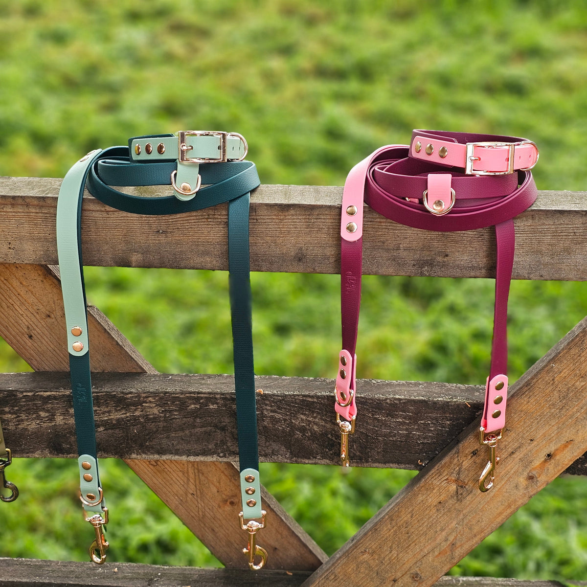 Hands-Free Training Lead – Dark Green & Sage