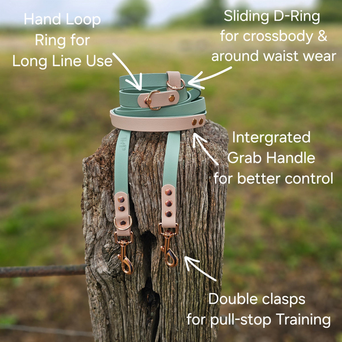 Hands-Free Training Lead – Dark Green & Sage